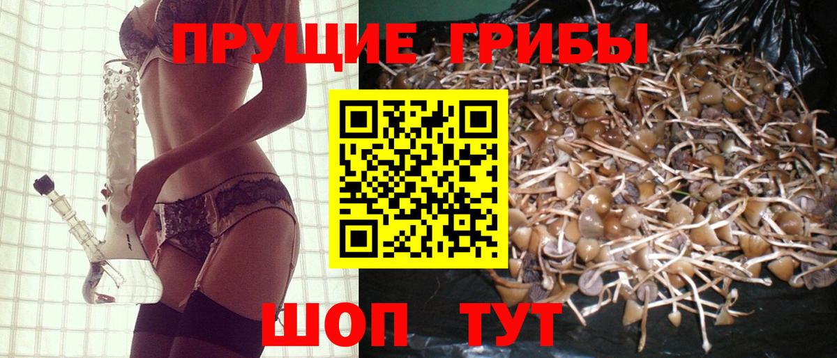 Псилоцибиновые грибы мухоморы  Вход с VPN  Бузулук 