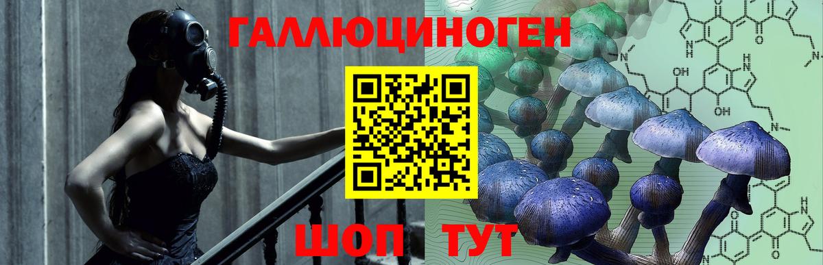Псилоцибиновые грибы прущие грибы Бузулук