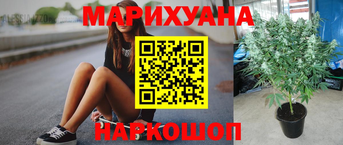 Бошки Шишки семена Бузулук
